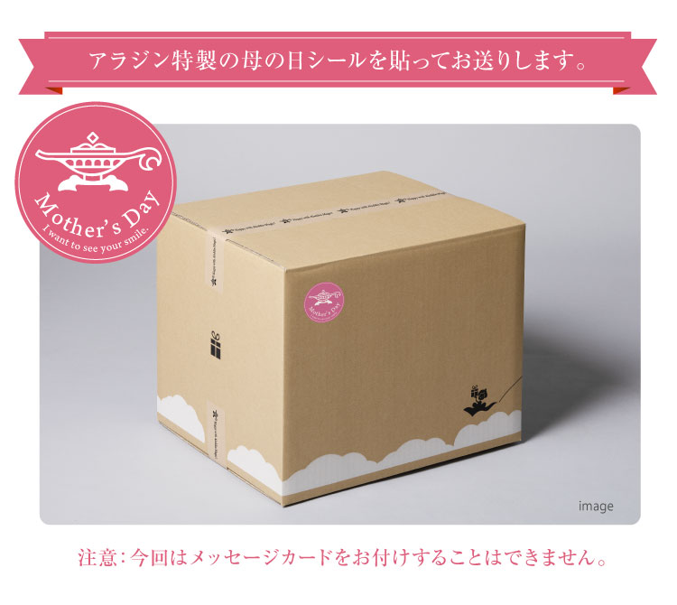 アラジンダイレクトショップ | 母の日2023