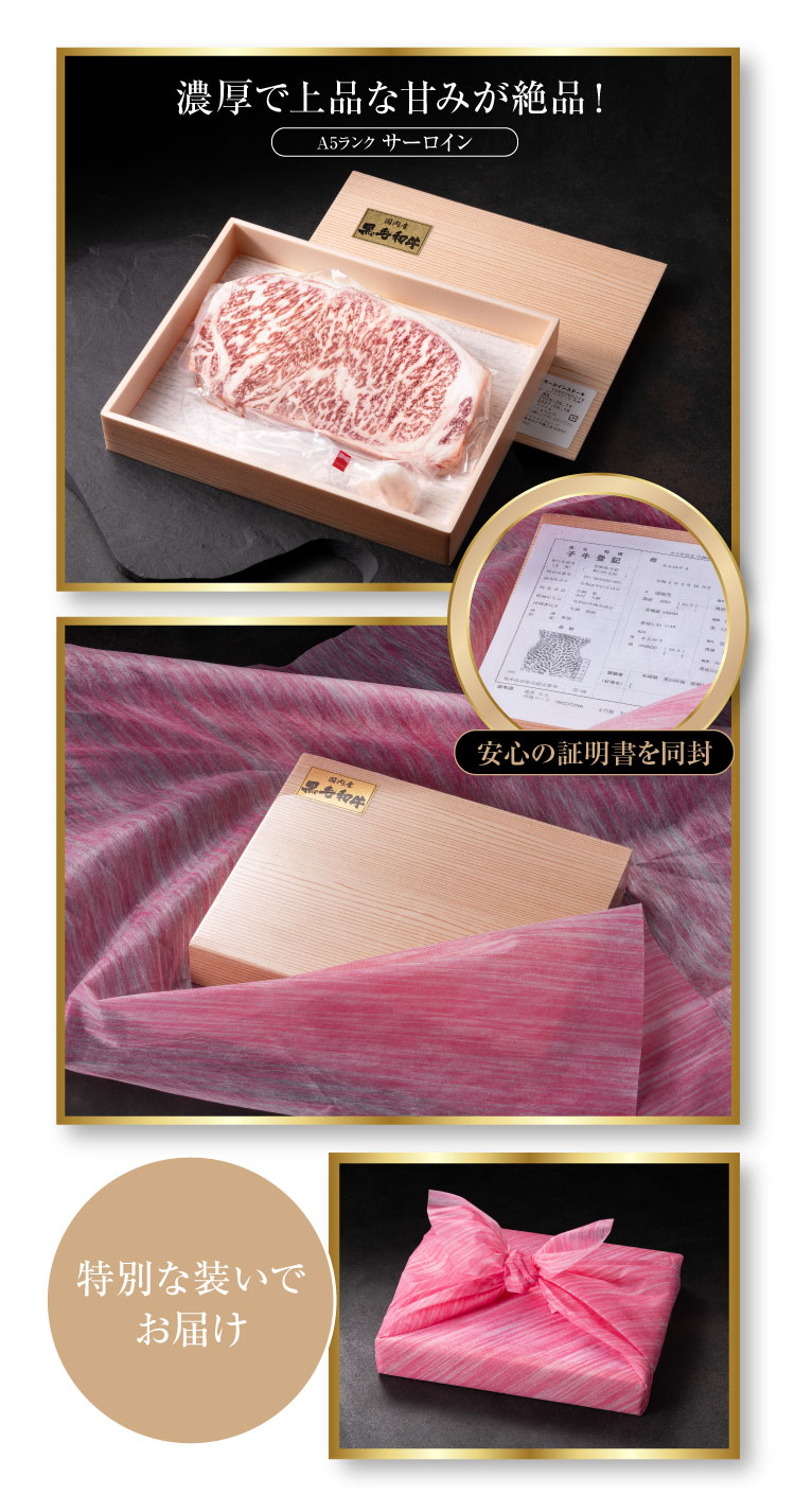アラジンダイレクトショップ | ミニグリラーお肉プレゼント2026