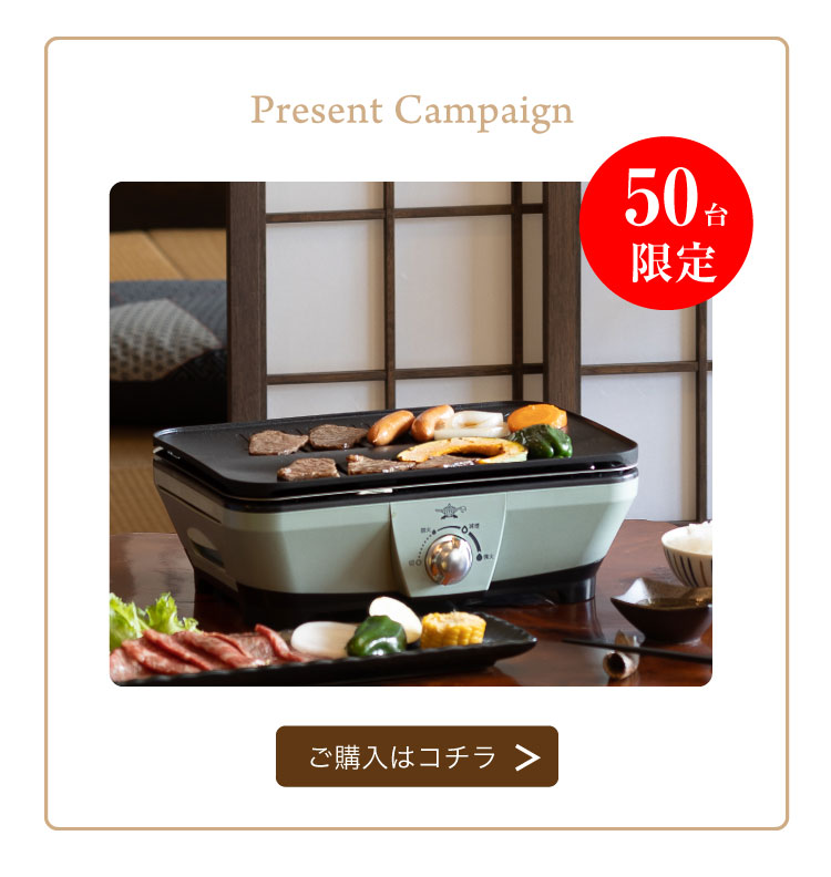 アラジンダイレクトショップ | ミニグリラーお肉プレゼント2026