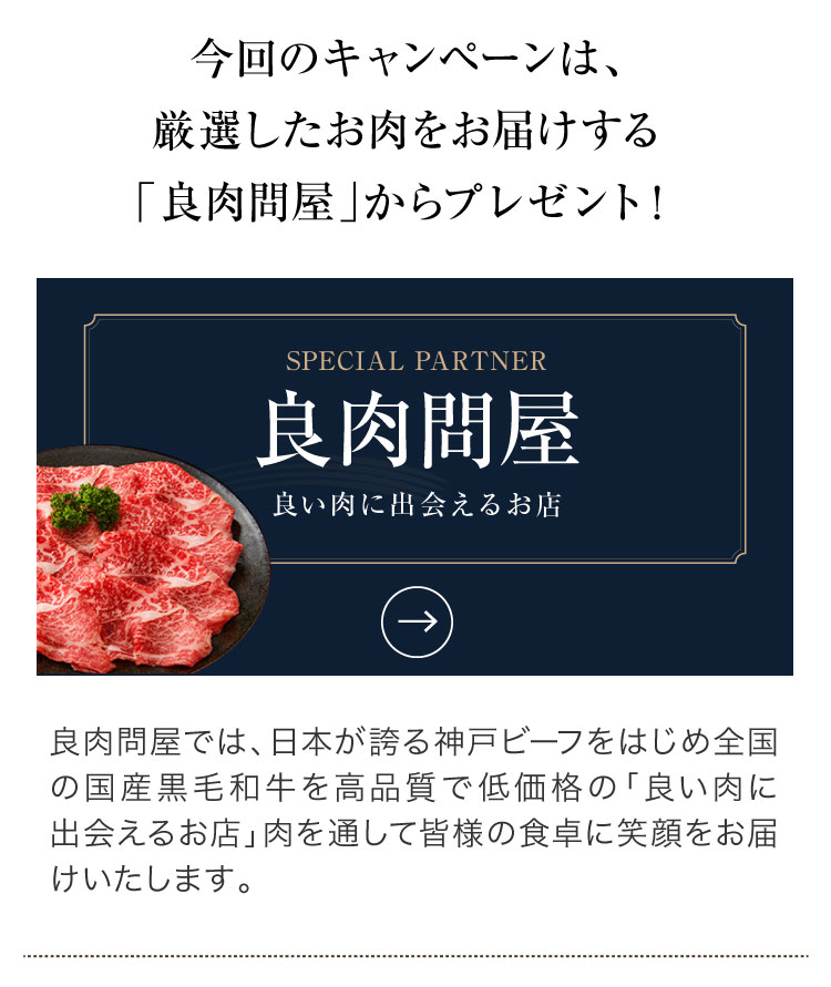 アラジンダイレクトショップ | ミニグリラーお肉プレゼント2026
